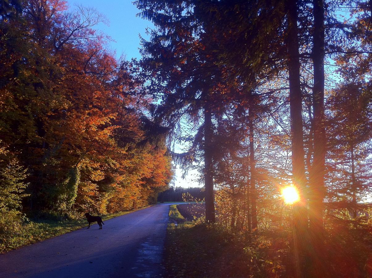Gasthof Teufl Purgstall an der Erlauf Екстериор снимка