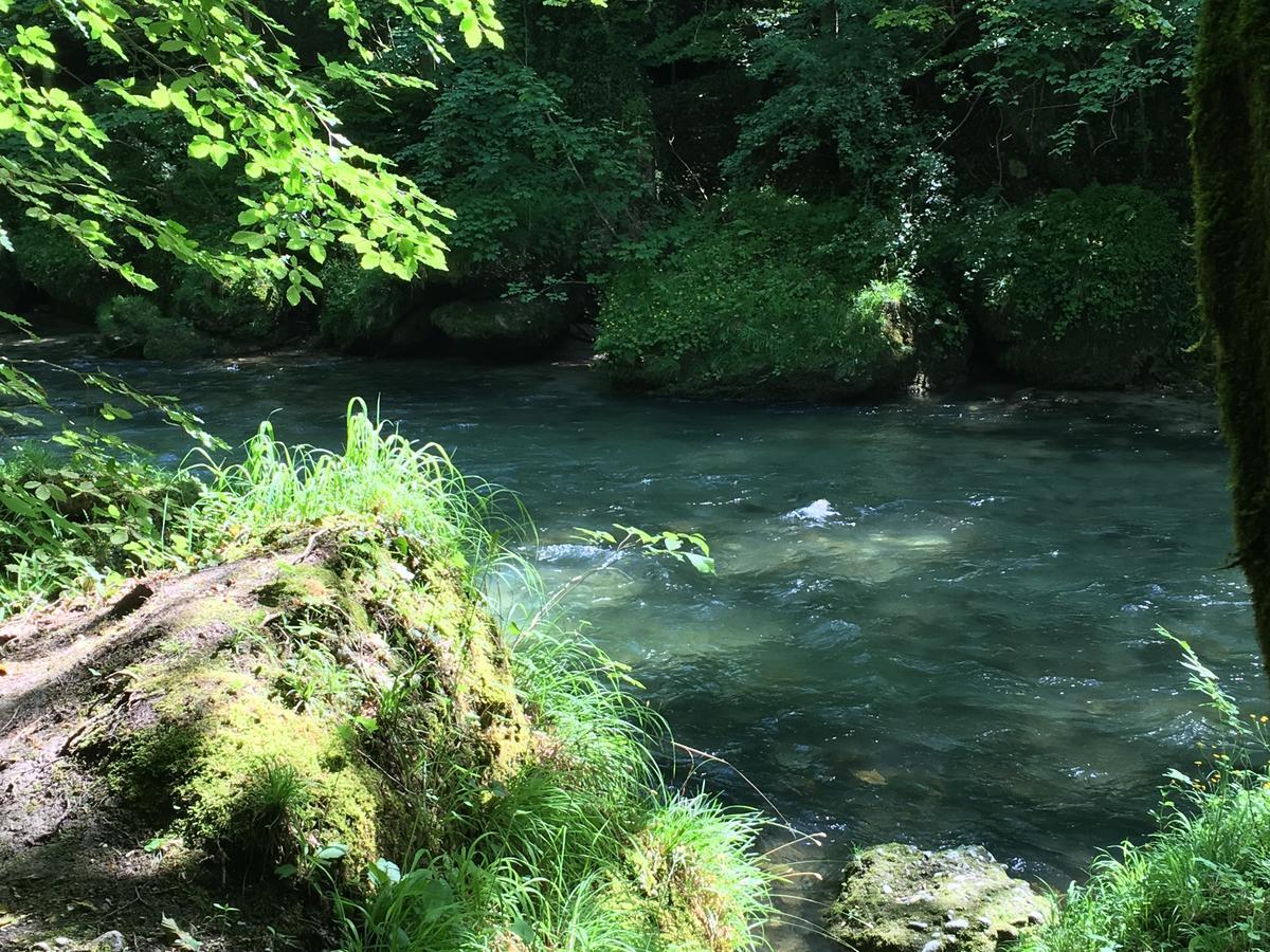 Gasthof Teufl Purgstall an der Erlauf Екстериор снимка